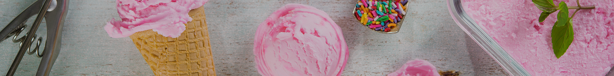 한성쇼케이스_상단