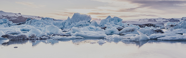 한성쇼케이스_모바일상단